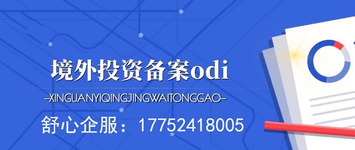 撰寫(xiě)境外投資備案投資主體投資決策文件的注意事項(xiàng)